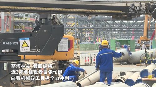 華錦阿美精細(xì)化工及原料工程建設(shè)全速推進(jìn)，打造高端石化產(chǎn)業(yè)新標(biāo)桿